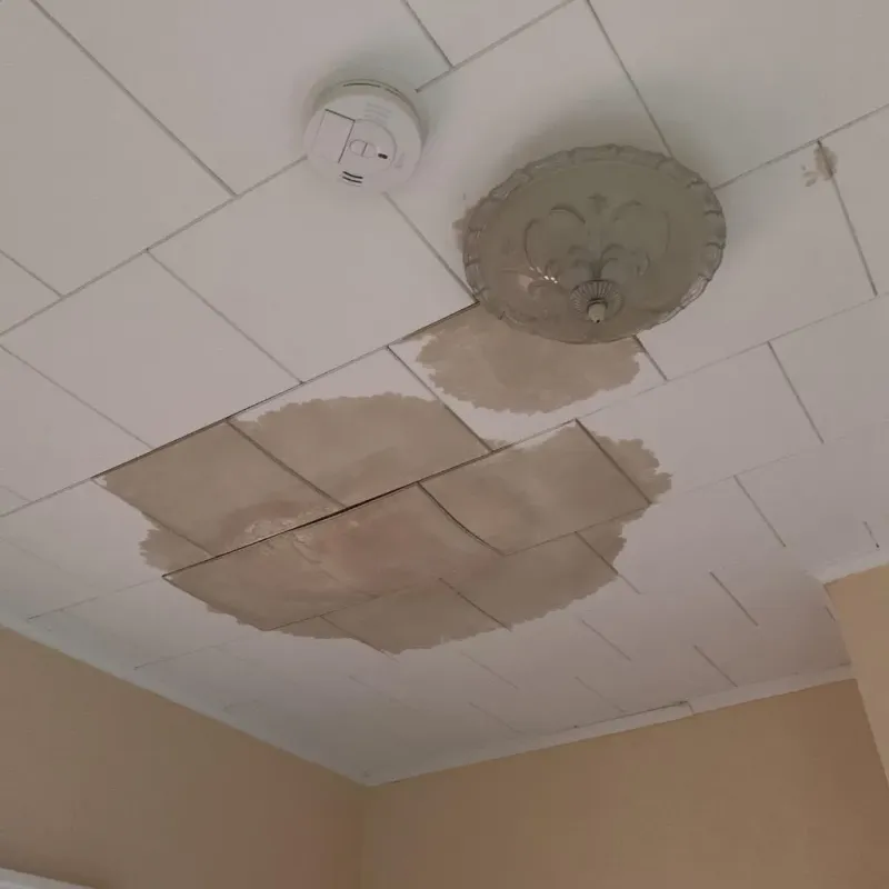 Ceiling Water Damage Repair in La Monte, MO