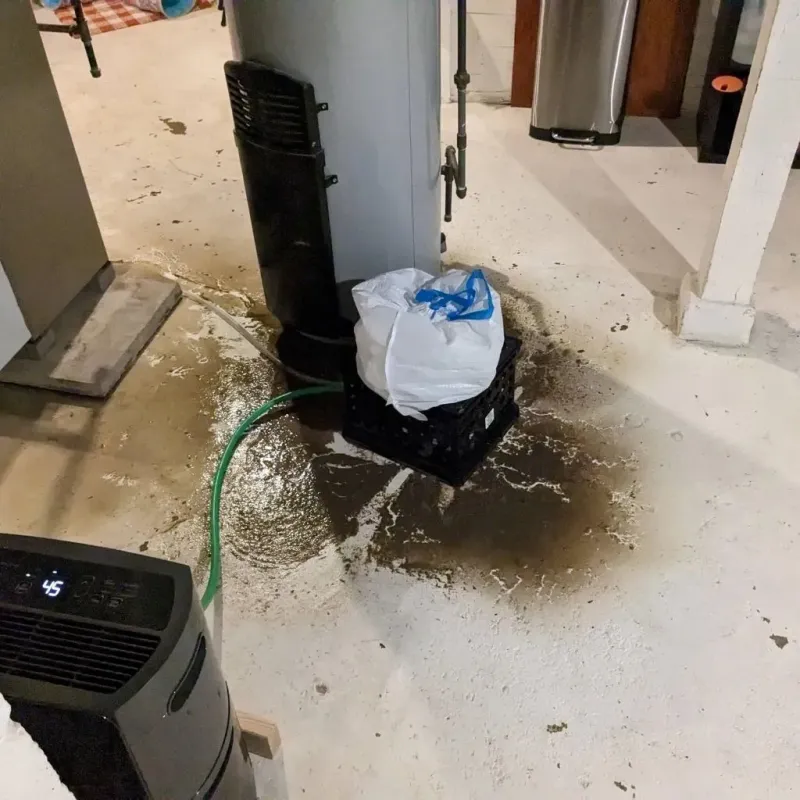 Sewage Backup Cleanup Service in La Monte, MO
